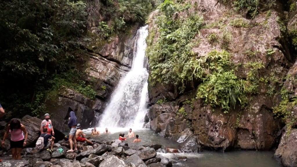 Exploring America S Only Rainforest El Yunque National Rain